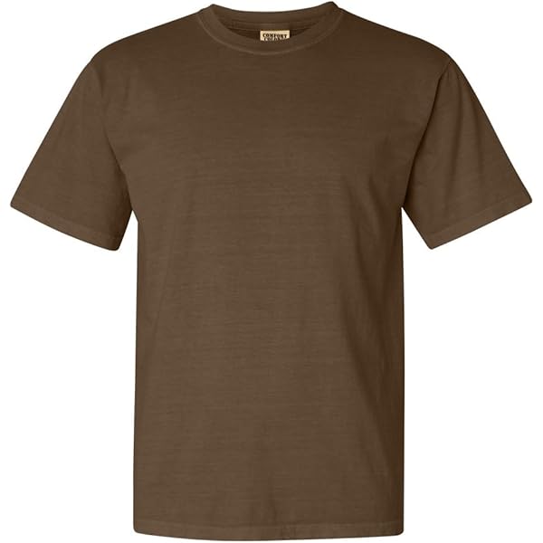 LAT Mens Fine Jersey Short Sleeve Tee (6901), Vintage Coyote Brown